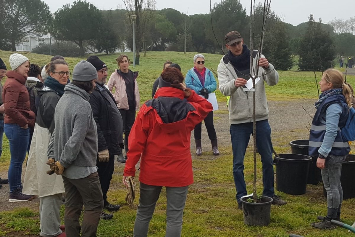 Chantier participatif de plantation : un groupe d'habitants rassemblés autour d'un jeune arbre à mettre en terre.